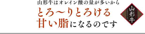 山形牛はオレイン酸の量が多いからとろ〜りとろける甘い脂になるのです